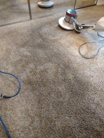 Photo Tg carpet cleaning $100