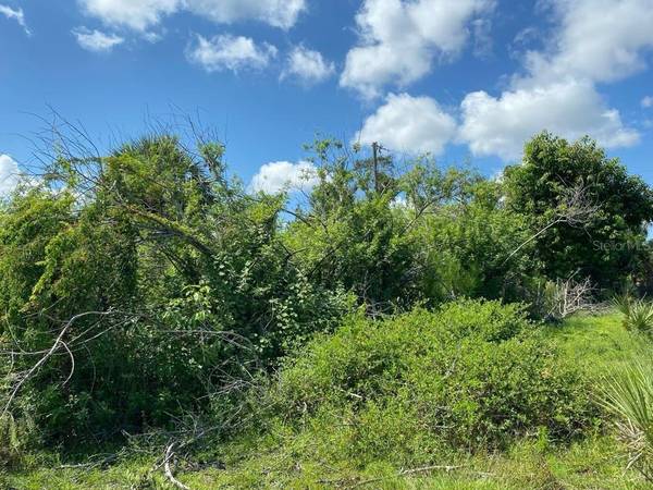 Photo Charming and Attractive Land in Punta Gorda. 0 Beds, 0 Baths $11,900