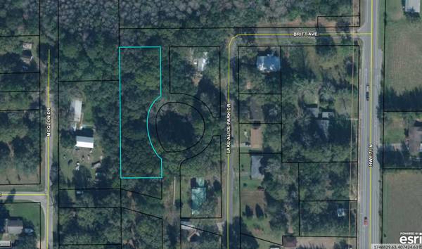 Photo 6 rare RV lots or permanent home lots in the TownCity FL. .79acres $39,000