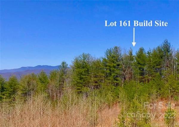 Photo Lot 161, Blue Ridge Mountain views from this premium 2.25 acre lot $179,900
