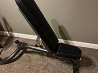 Deneb and polak cheap treadmill zilli price