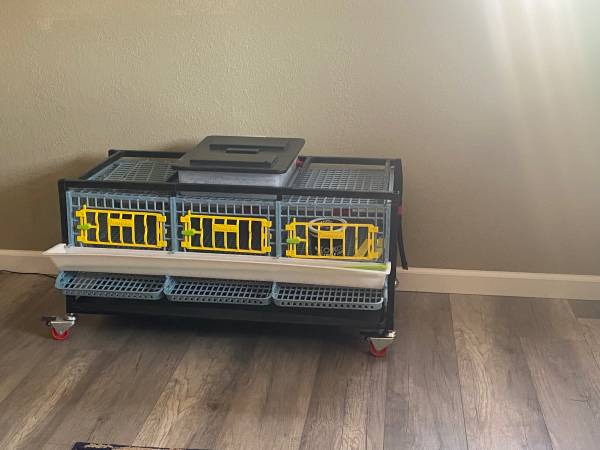 Hatching Time Quail Cage $125 | Garden Items For Sale | Phoenix, AZ