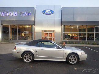 Photo Used 2001 Ford Mustang Cobra for sale