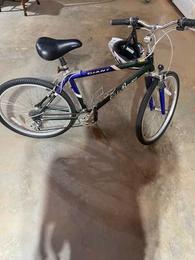 giant eddie bauer mountain bike