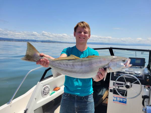 Bayliner Trothy Fishing Boat $13,000 | Boats For Sale | Sacramento, CA ...