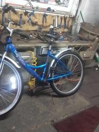 la jolla street cruiser