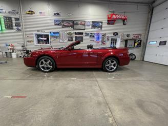 Photo Used 2003 Ford Mustang Cobra for sale
